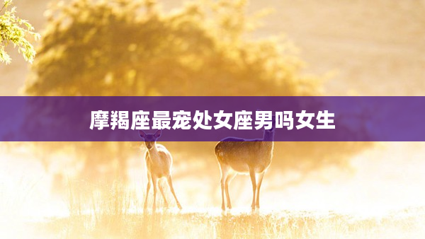 摩羯座最寵處女座男嗎女生