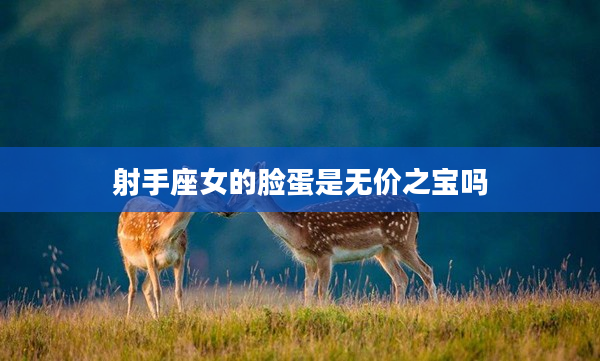 射手座女的臉蛋是無價(jià)之寶嗎