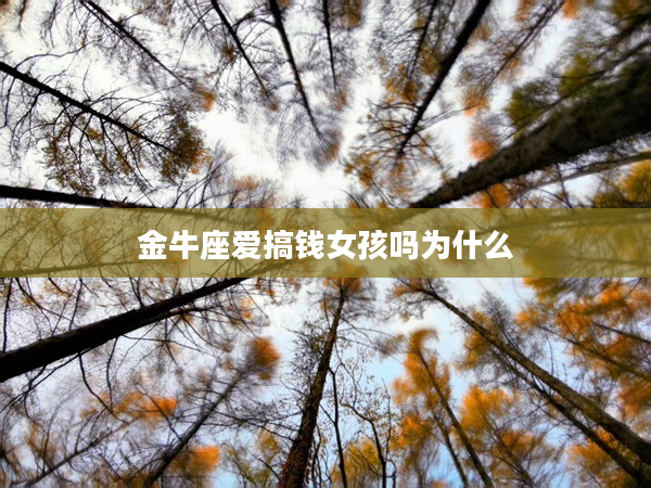 金牛座愛搞錢女孩嗎為什么