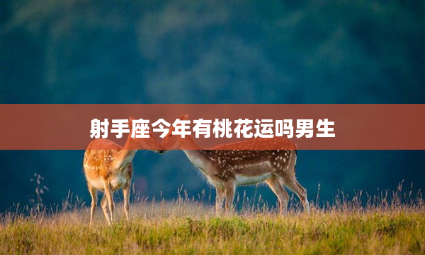 射手座今年有桃花運嗎男生