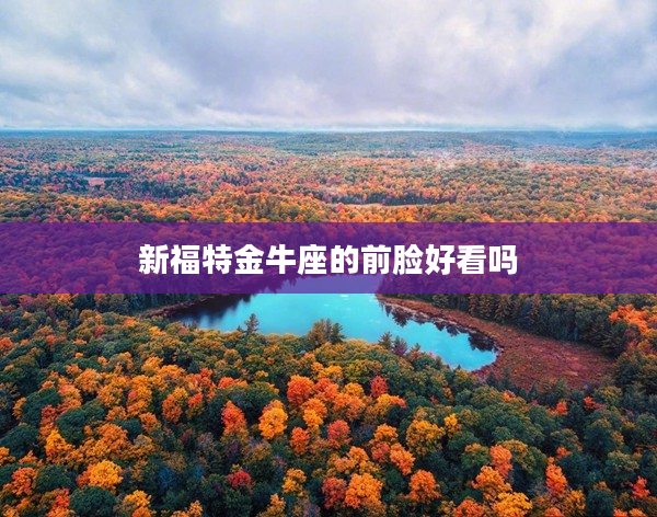 新福特金牛座的前臉好看嗎