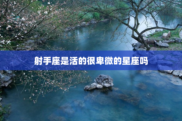 射手座是活的很卑微的星座嗎