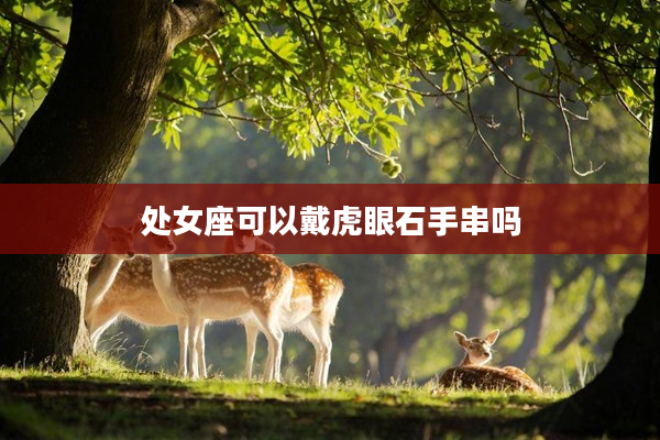 處女座可以戴虎眼石手串嗎