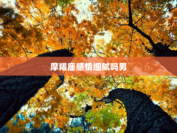 摩羯座感情細膩嗎男