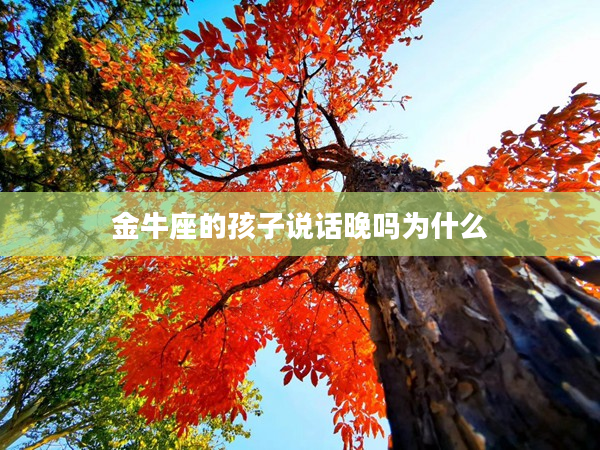 金牛座的孩子說話晚嗎為什么