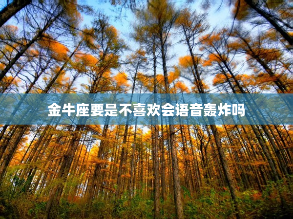 金牛座要是不喜歡會(huì)語(yǔ)音轟炸嗎