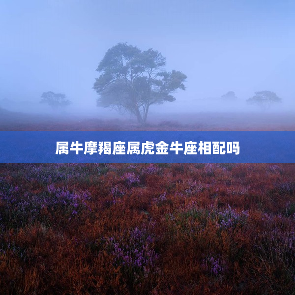 屬牛摩羯座屬虎金牛座相配嗎