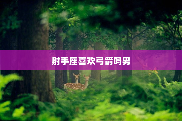 射手座喜歡弓箭嗎男