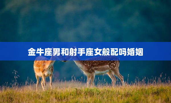 金牛座男和射手座女般配嗎婚姻