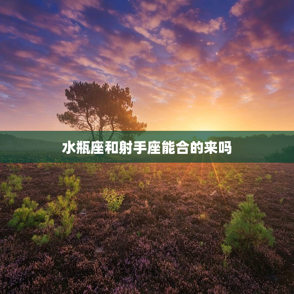 水瓶座和射手座能合的來嗎