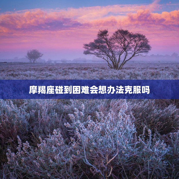 摩羯座碰到困難會想辦法克服嗎