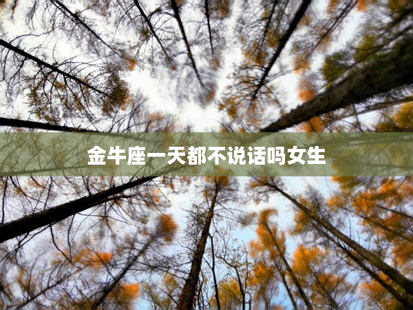 金牛座一天都不說話嗎女生