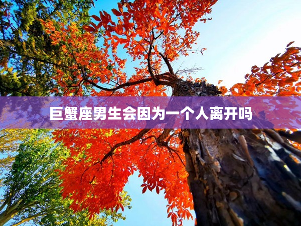 巨蟹座男生會因為一個人離開嗎