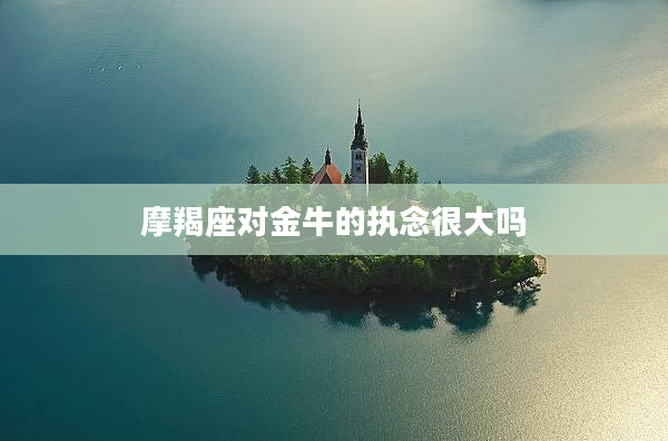 摩羯座對金牛的執念很大嗎