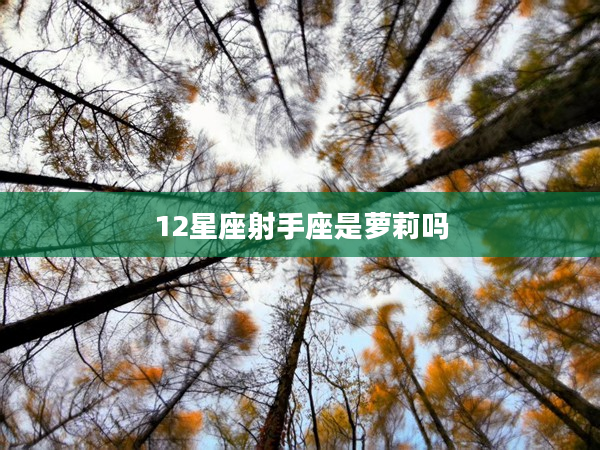 12星座射手座是蘿莉嗎