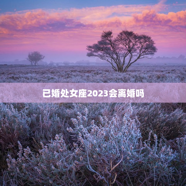 已婚處女座2023會離婚嗎