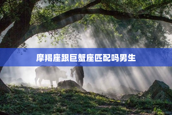 摩羯座跟巨蟹座匹配嗎男生