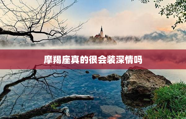 摩羯座真的很會裝深情嗎