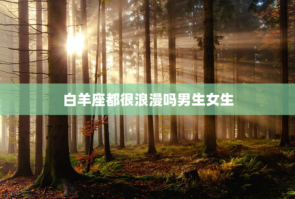 白羊座都很浪漫嗎男生女生