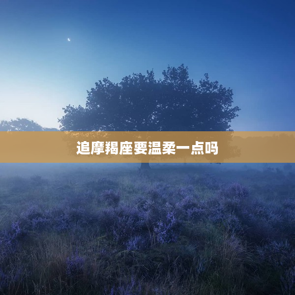 追摩羯座要溫柔一點嗎