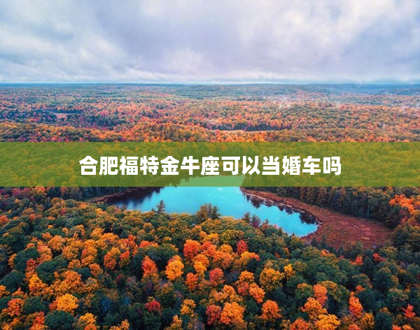 合肥福特金牛座可以當婚車嗎