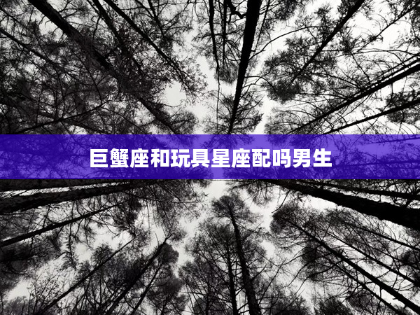 巨蟹座和玩具星座配嗎男生