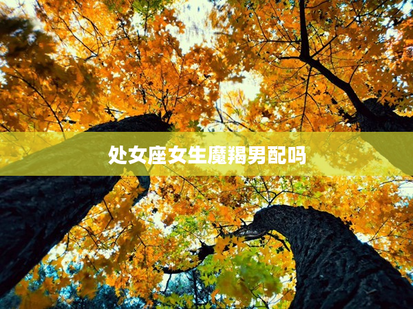 處女座女生魔羯男配嗎