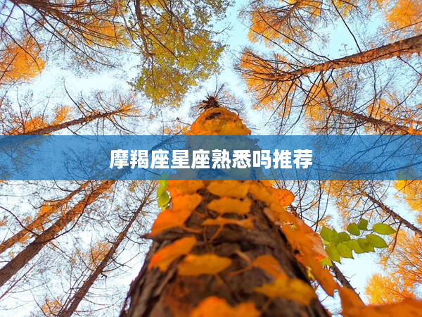 摩羯座星座熟悉嗎推薦