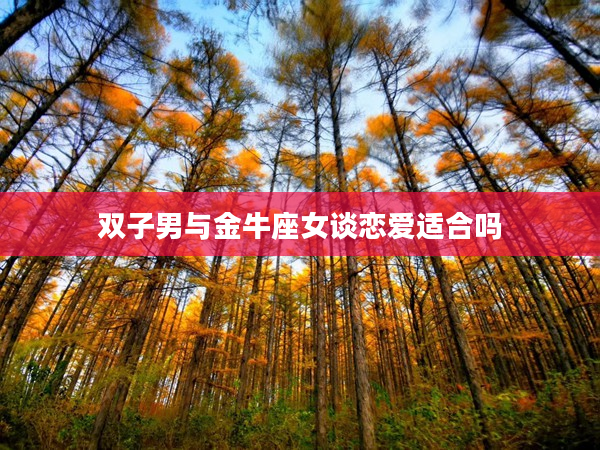 雙子男與金牛座女談戀愛適合嗎