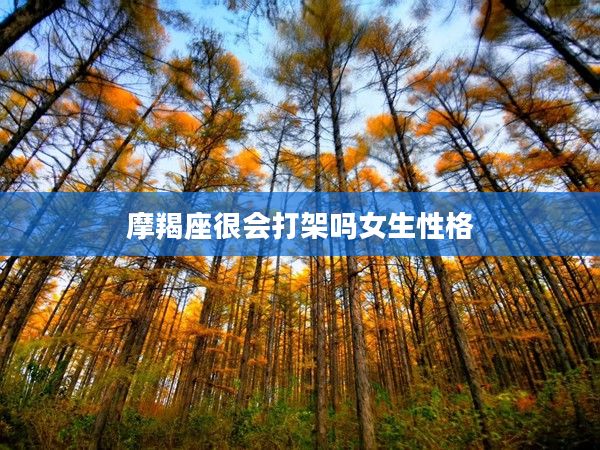 摩羯座很會(huì)打架嗎女生性格