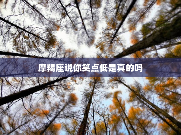 摩羯座說你笑點低是真的嗎