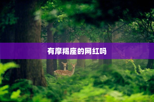 有摩羯座的網紅嗎