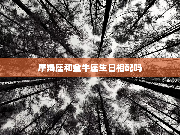 摩羯座和金牛座生日相配嗎