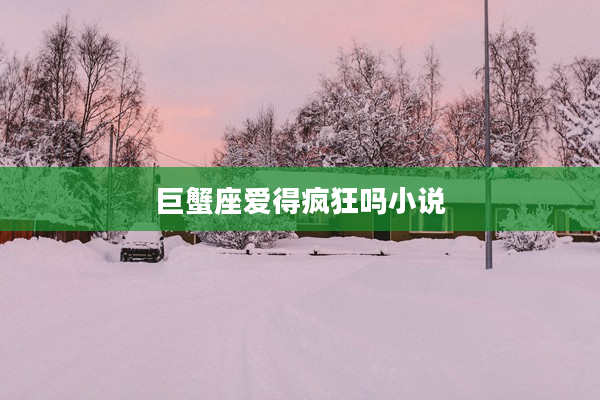 巨蟹座愛得瘋狂嗎小說