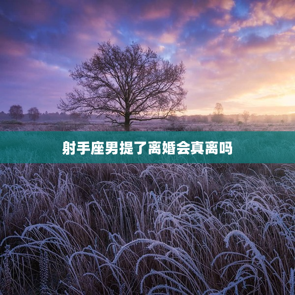 射手座男提了離婚會真離嗎