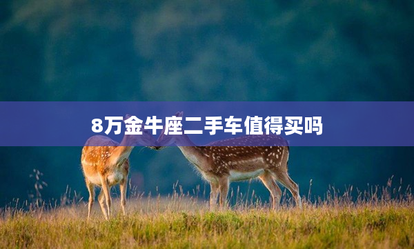 8萬金牛座二手車值得買嗎