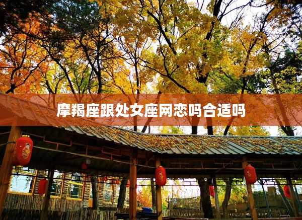 摩羯座跟處女座網戀嗎合適嗎