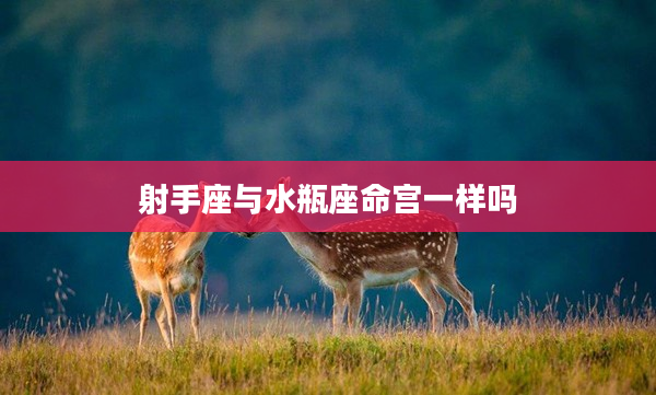 射手座與水瓶座命宮一樣嗎