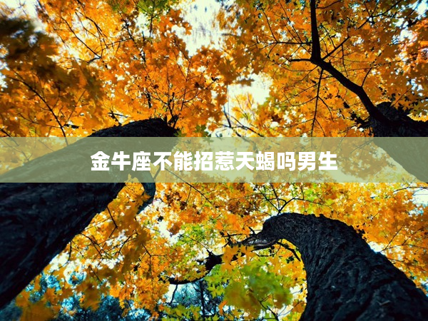 金牛座不能招惹天蝎嗎男生