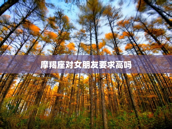 摩羯座對女朋友要求高嗎