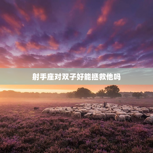 射手座對(duì)雙子好能拯救他嗎