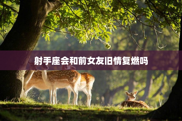 射手座會和前女友舊情復燃嗎