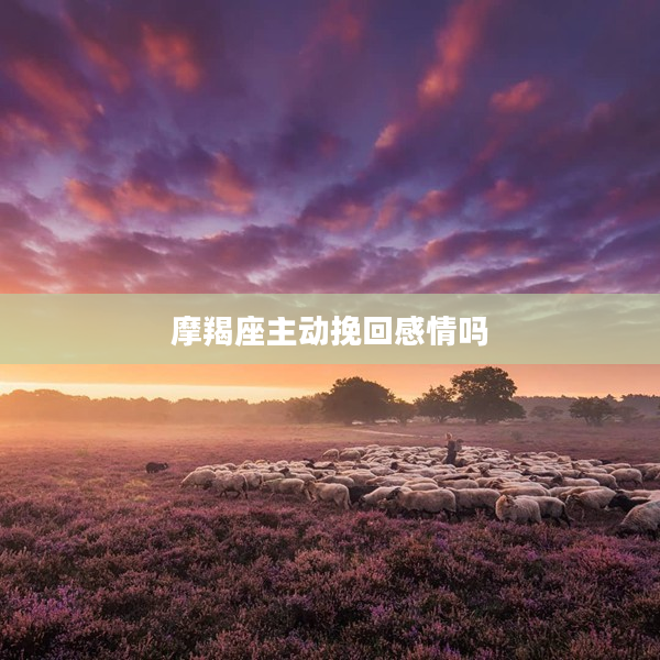 摩羯座主動挽回感情嗎