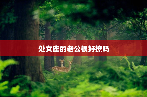 處女座的老公很好撩嗎