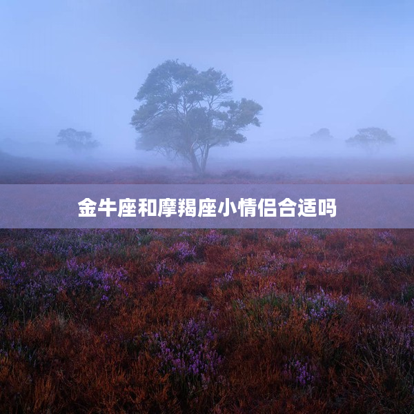 金牛座和摩羯座小情侶合適嗎