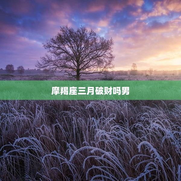 摩羯座三月破財嗎男