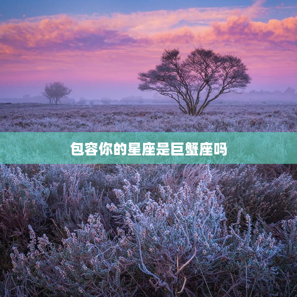 包容你的星座是巨蟹座嗎