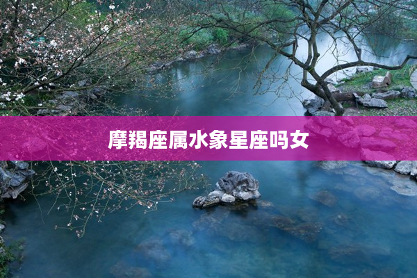 摩羯座屬水象星座嗎女