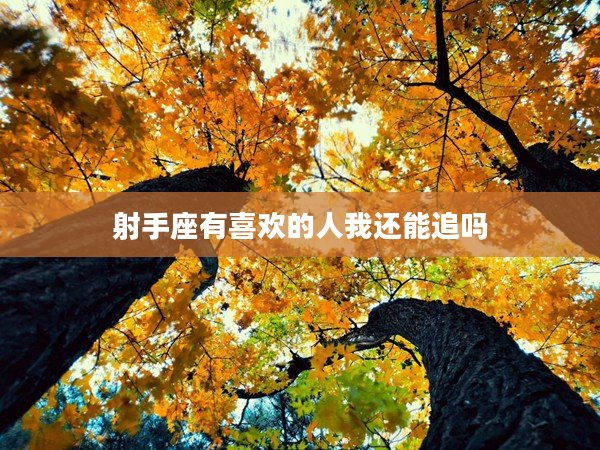 射手座有喜歡的人我還能追嗎