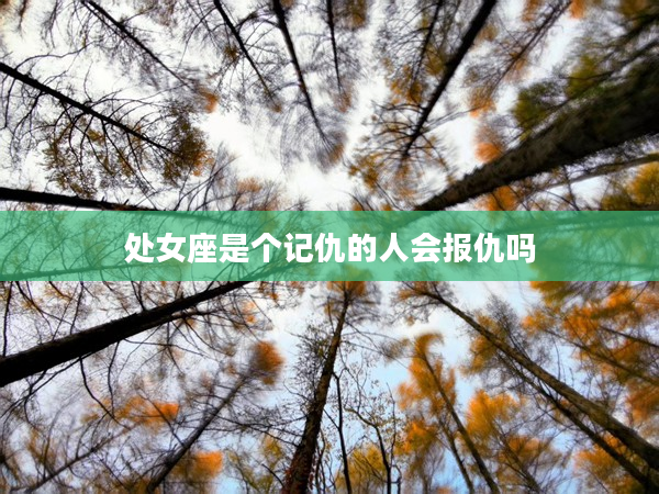 處女座是個記仇的人會報仇嗎